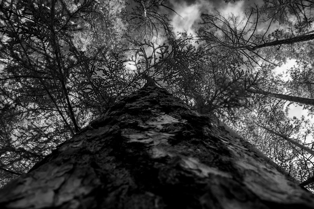 Дорога в небеса