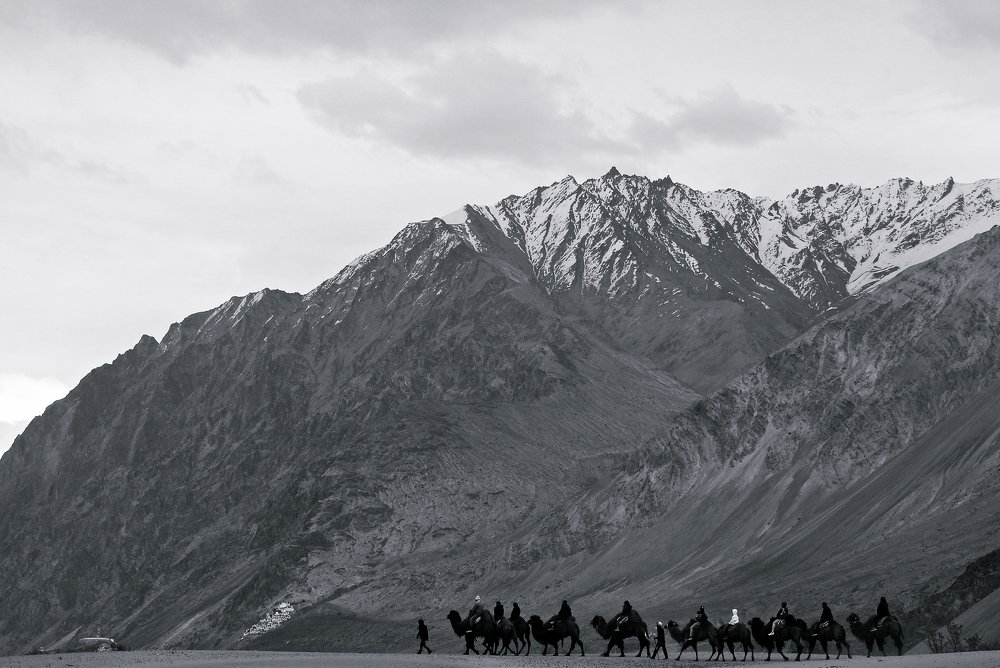 A scene from Nubra Valley