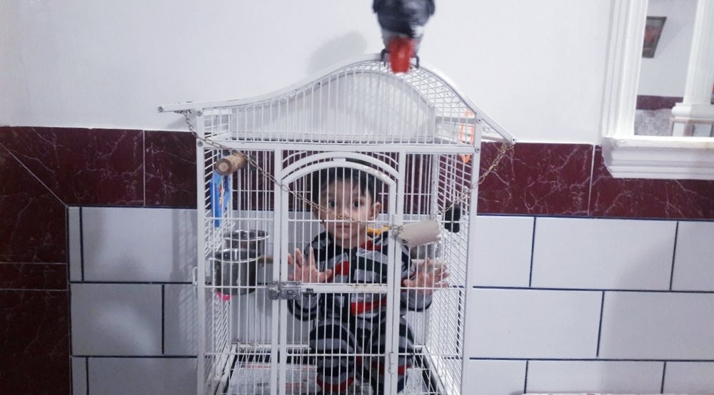 In birds shoes