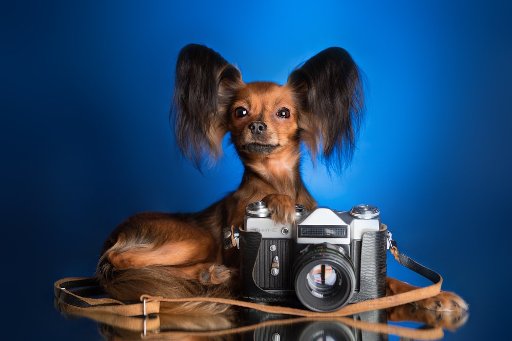 Фотограф или модель?