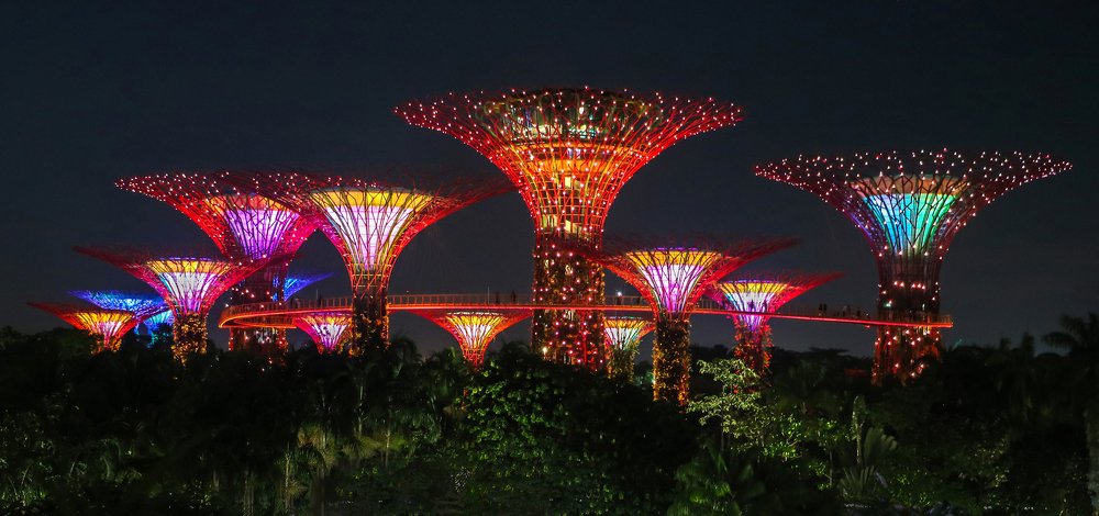 Amazing Garden by the bay