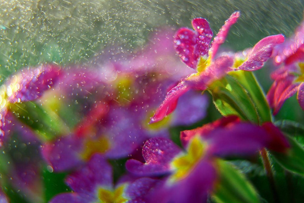 Photograph by Виктория Зайкова