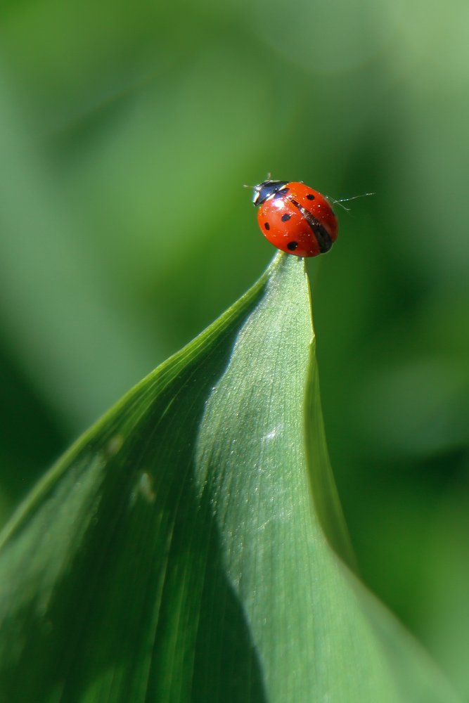 Photograph by Виктория Зайкова