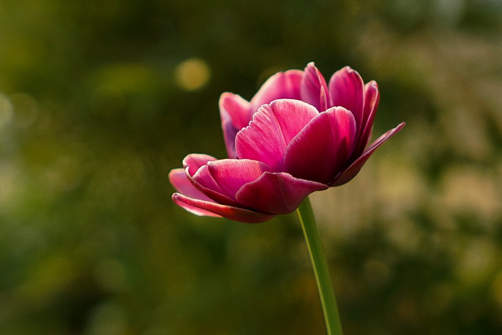 Photograph by Виктория Зайкова