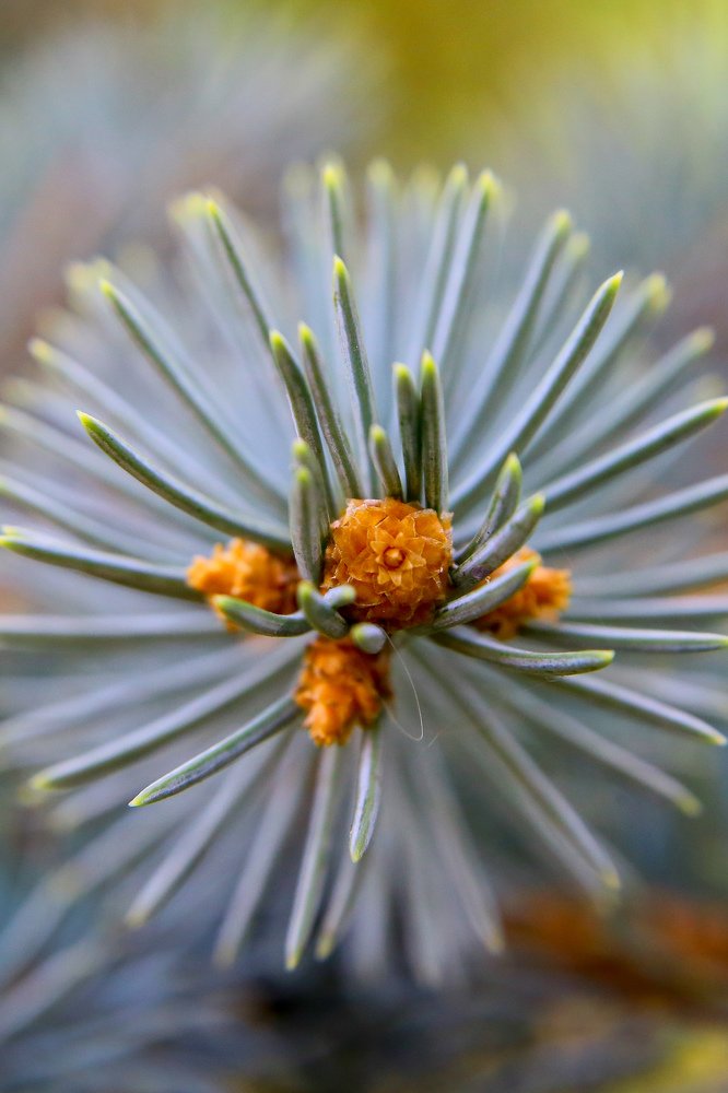 Photograph by Виктория Зайкова