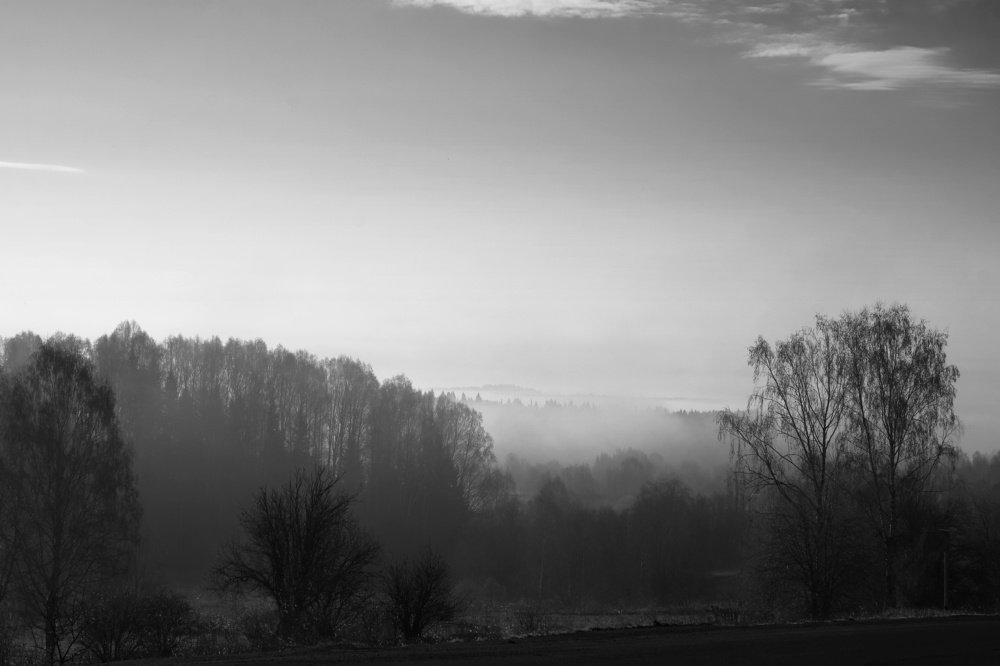 Туманно утро