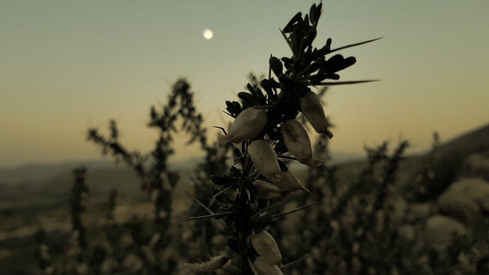 Hope