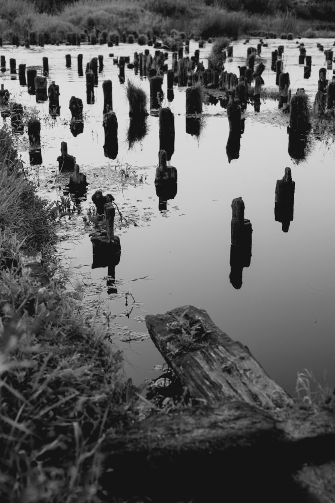 заброшенная лодочная станция