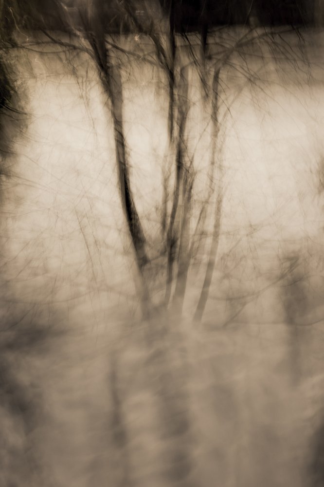 эфемерность