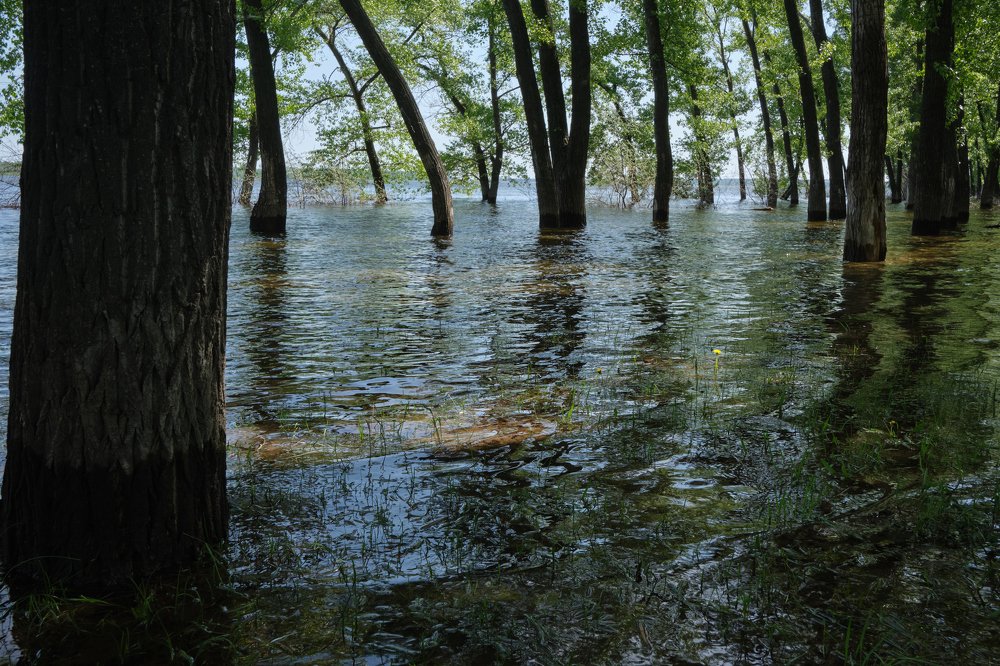 Разлив на Волге