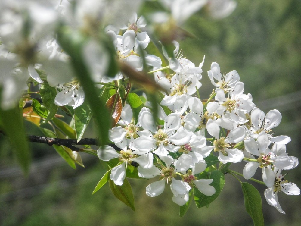 Photograph by Maida Bralić