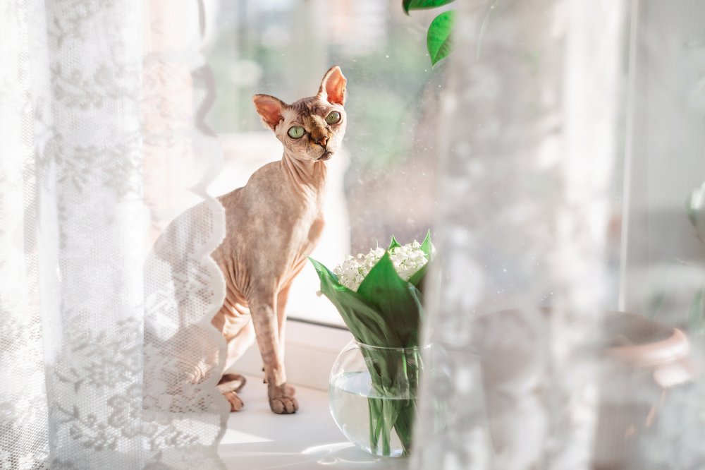 Photograph by Марина Туник