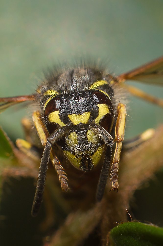 Photograph by Алексей Козлов