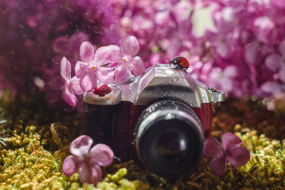 Photograph by Аксана Чалова