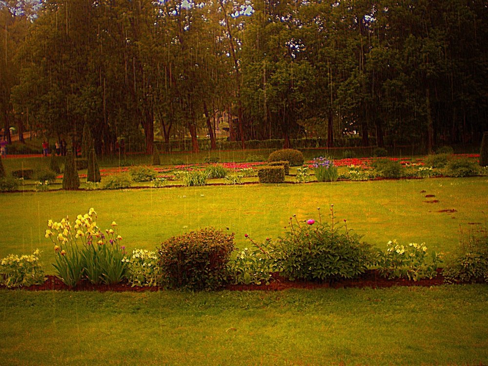 Photograph by Алия Байсыкова