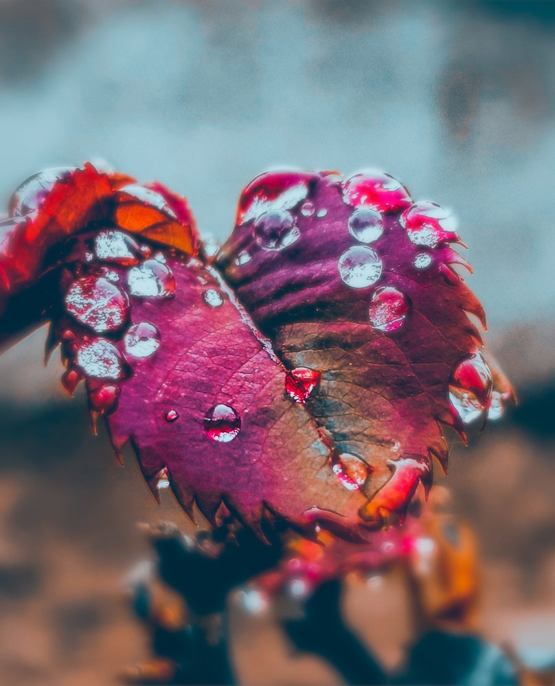 Photograph by Najmeh setayesh nazar