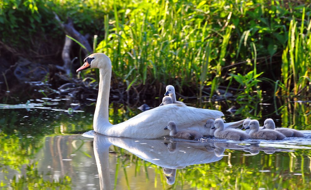 Фотография автора Антип