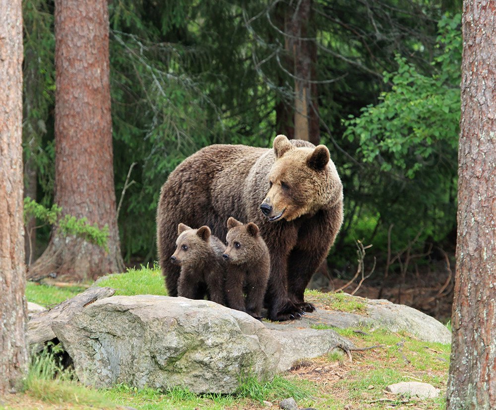 Улыбочку, дети, нас фотографируют