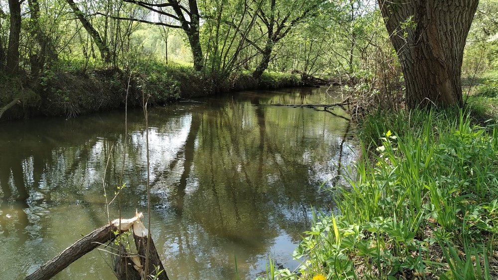 Тихая речка.