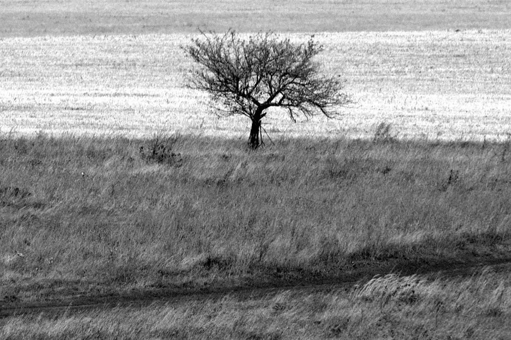 Photograph by Степанов Евгений