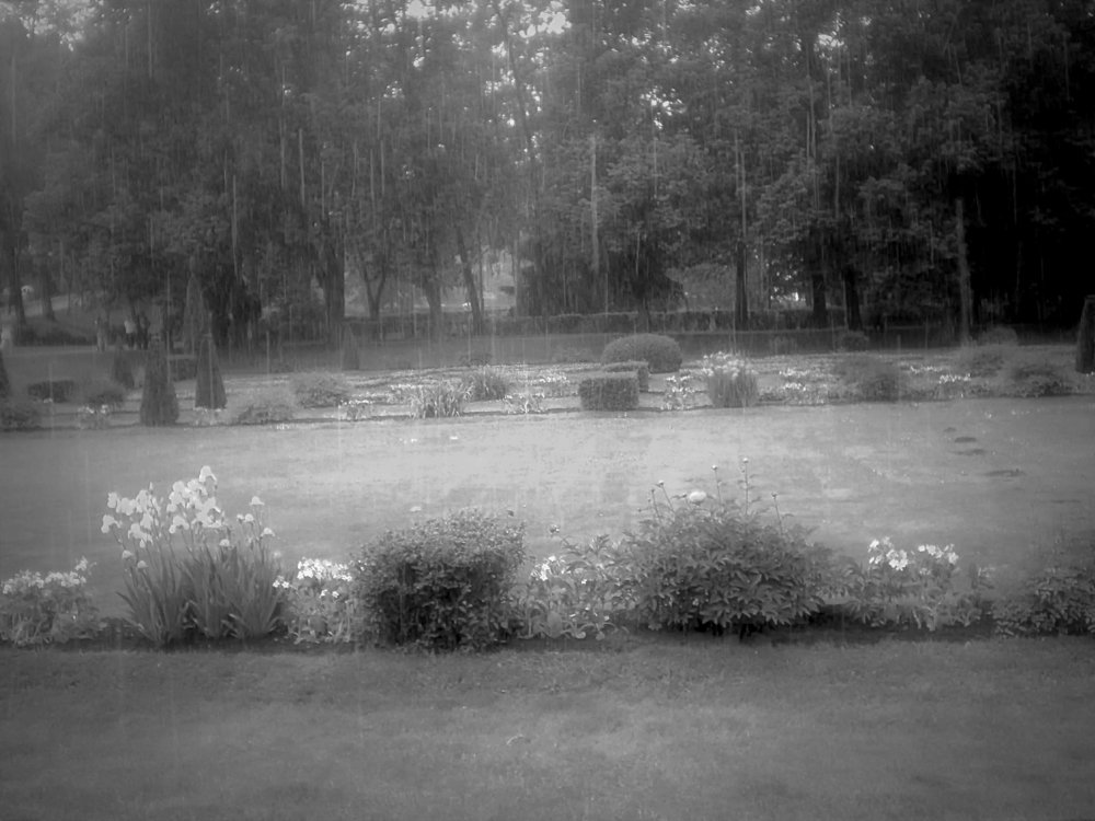 Photograph by Алия Байсыкова