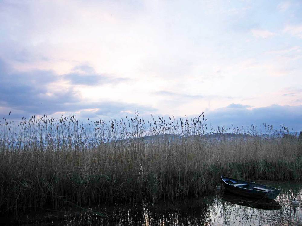 Photograph by Snezana Trifunovic