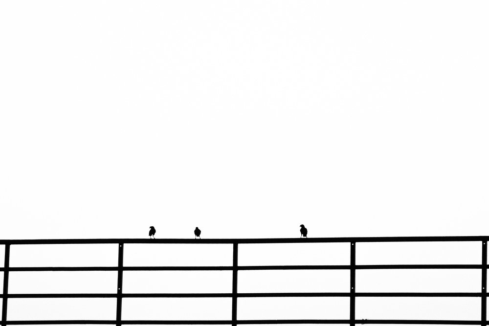 Life Often is Simple