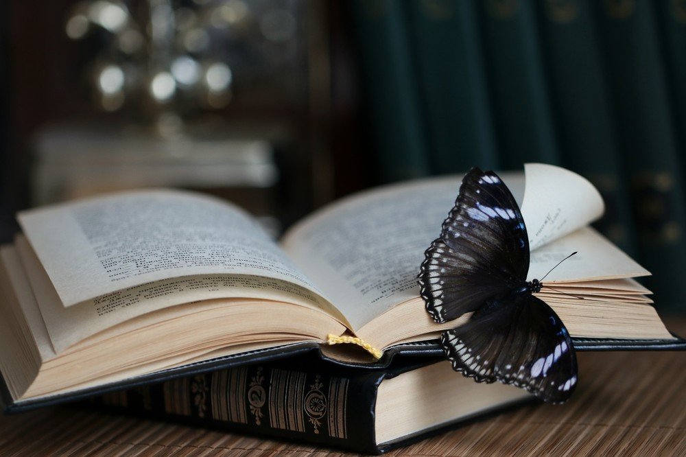 Бабочкой счастье присядет нежданно...