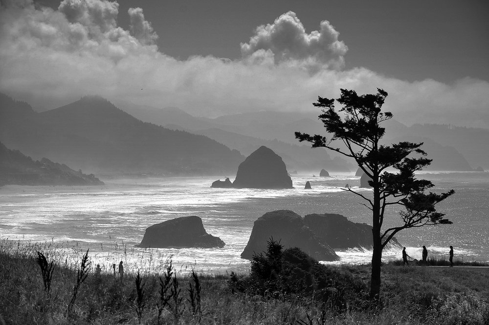 Коктейль "Америка"