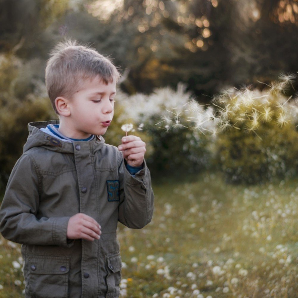 .... Парашютики желаний....