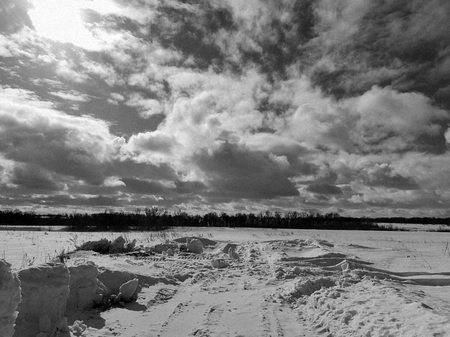 Photo #3223609