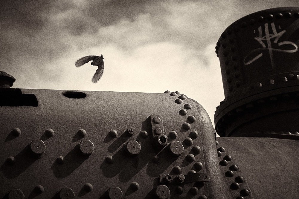 На краю неба