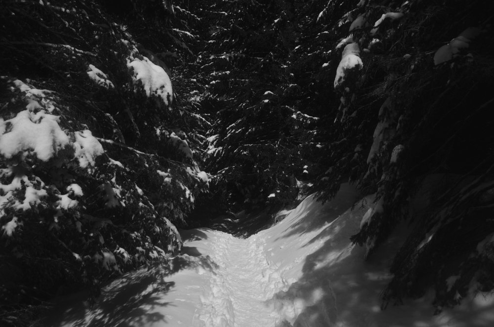 The curiosity drives me here