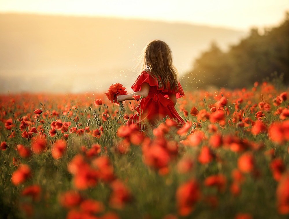 Photograph by София Батина