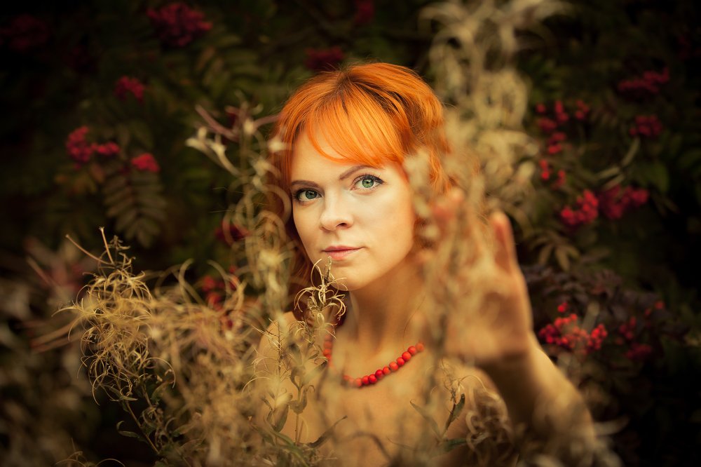 Рябиновое настроение