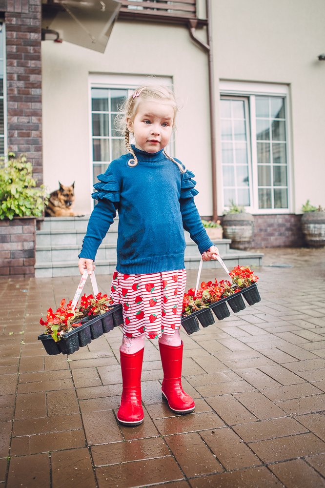 Сделать мир чуть красивее