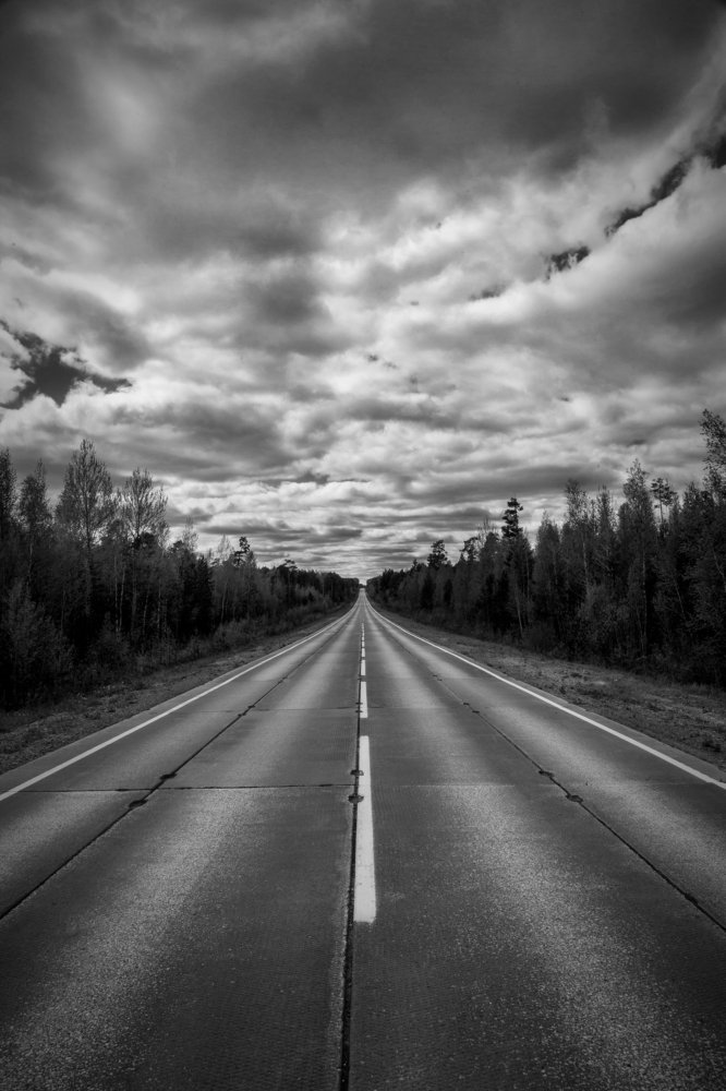 Дорога домой