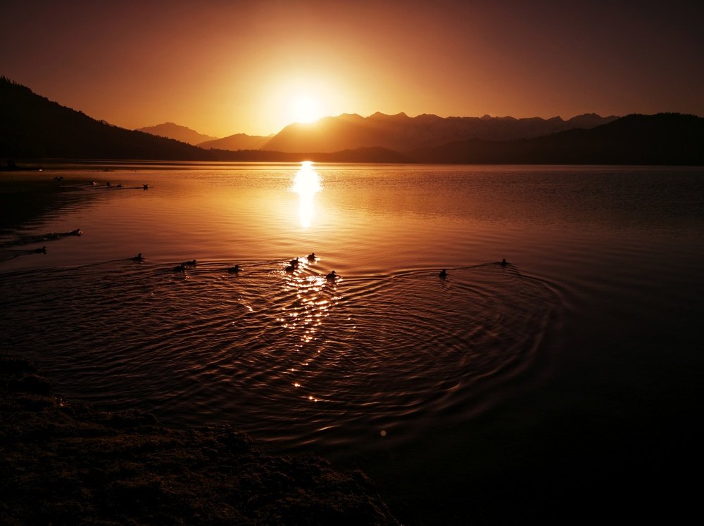 Rara Lake Morning Mood.