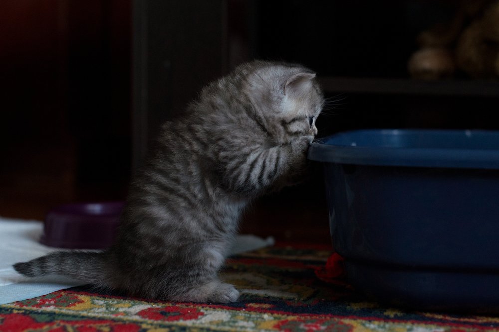 Photograph by Татьяна Гуз