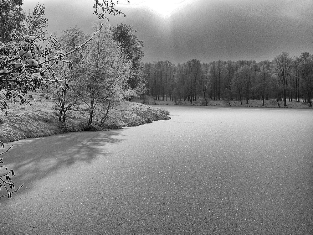 первый снег