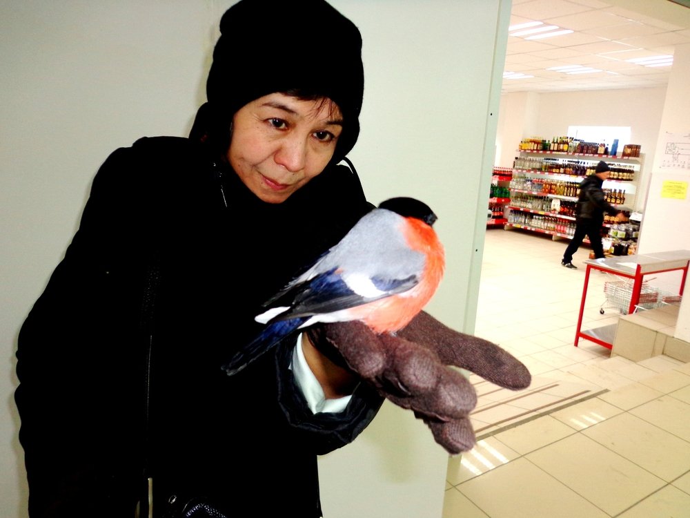 Залетел погреться...