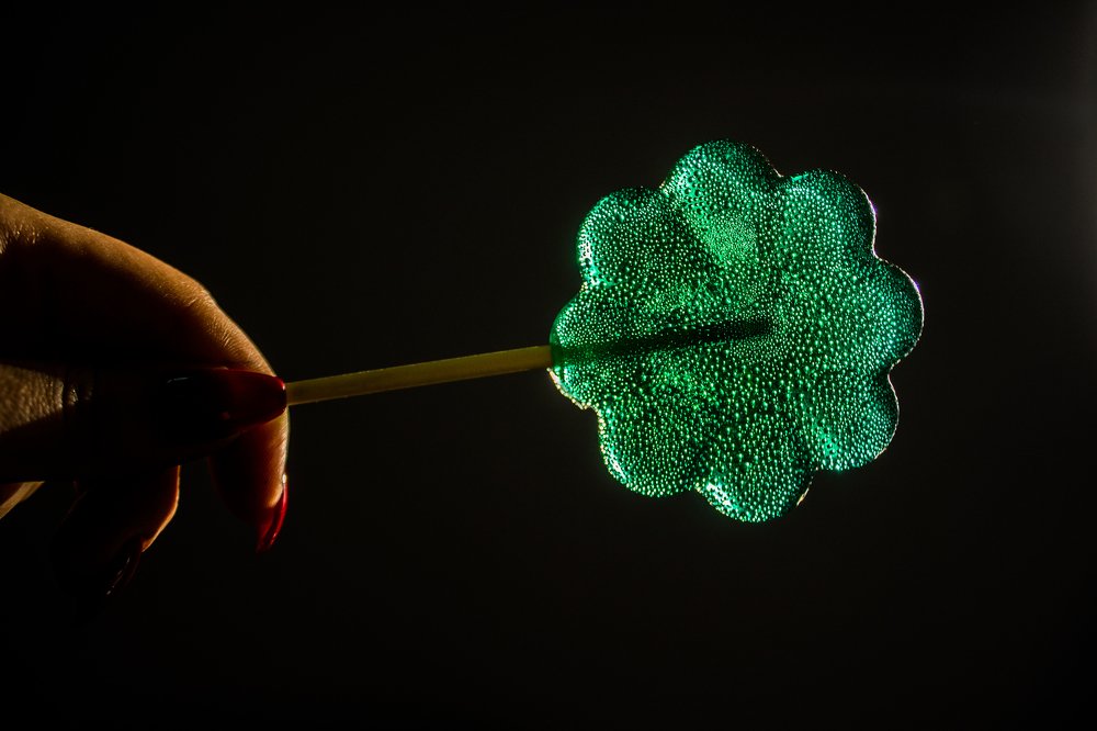 Photograph by Alissa Nabiullina