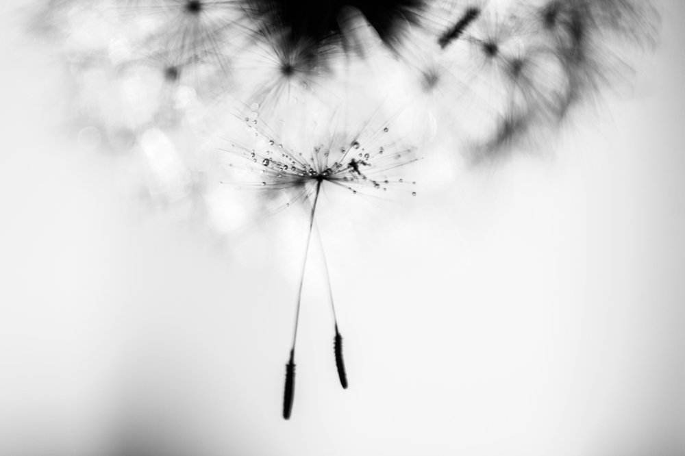 Photograph by Alissa Nabiullina