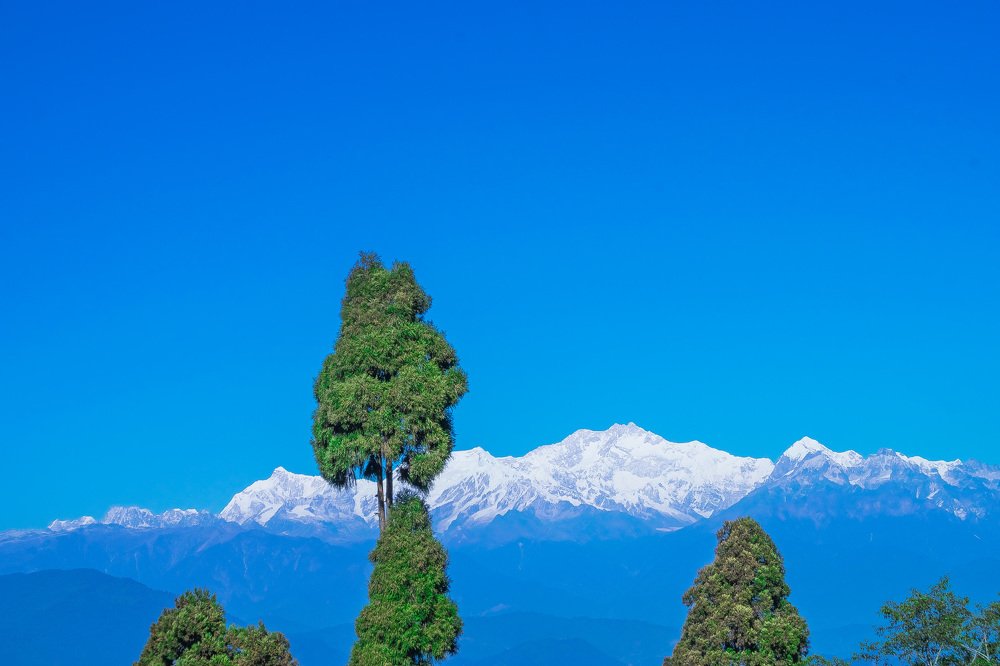 Kanchajunga darjeeling