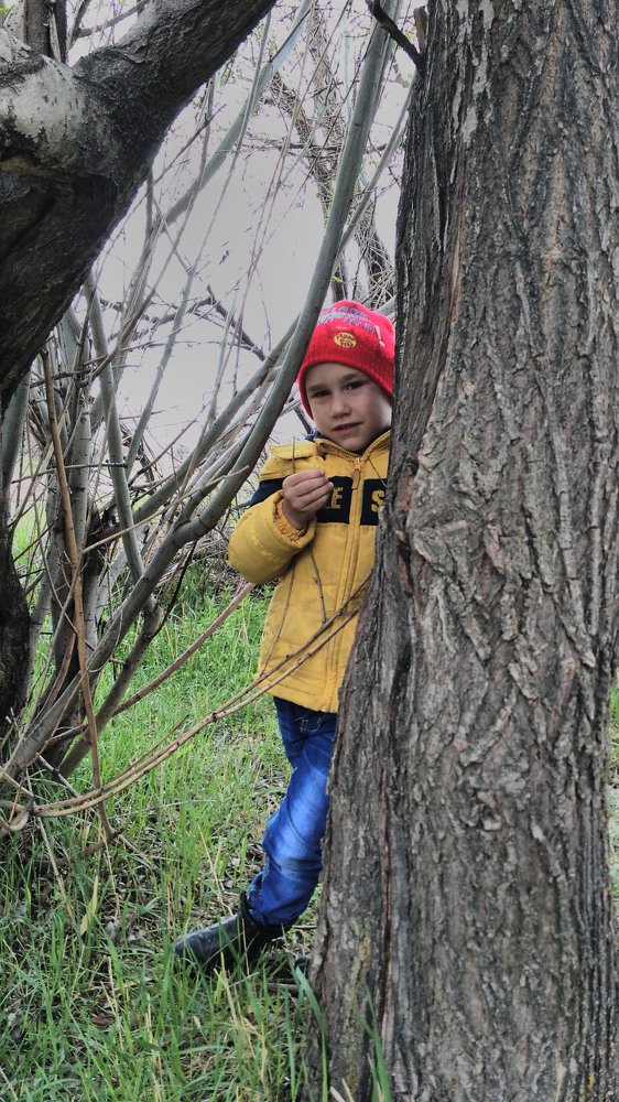 Photo #3224887