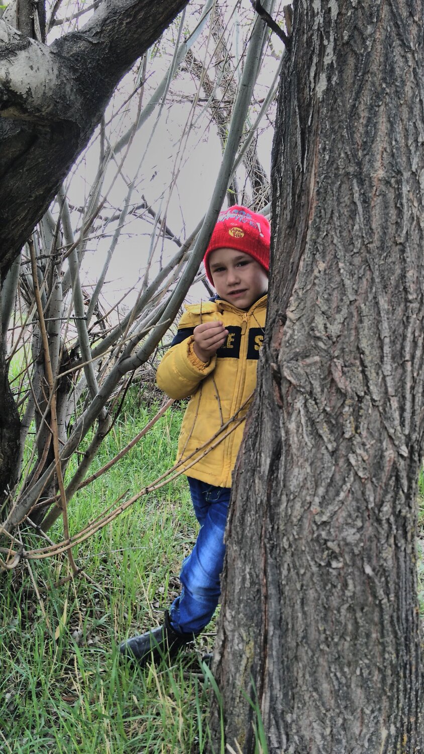 Photo #3224887