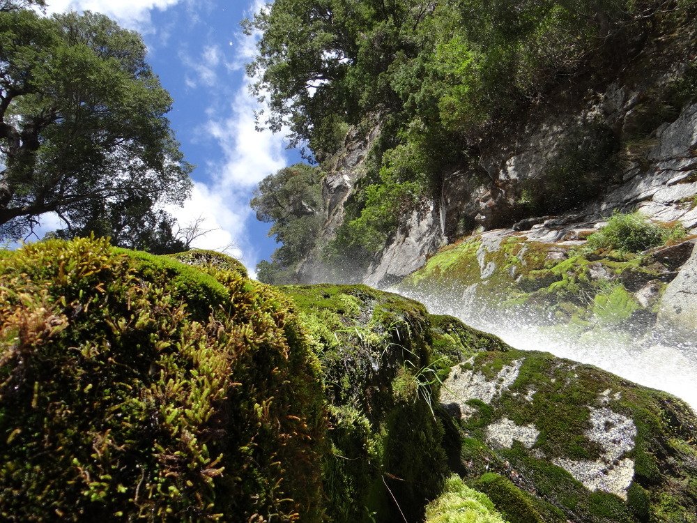 Belleza natural