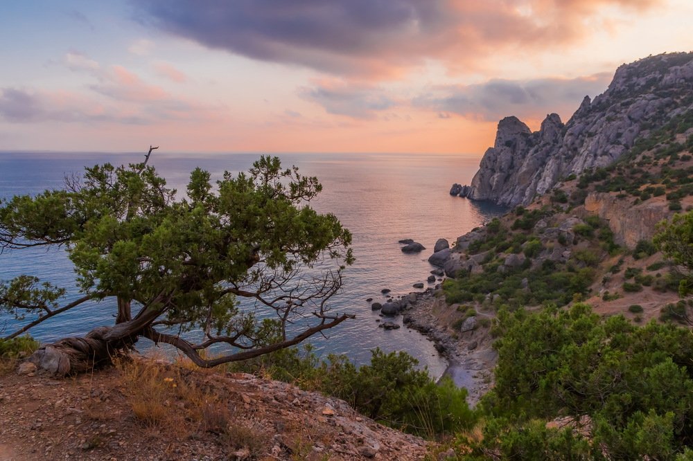 Вечер. Новый свет