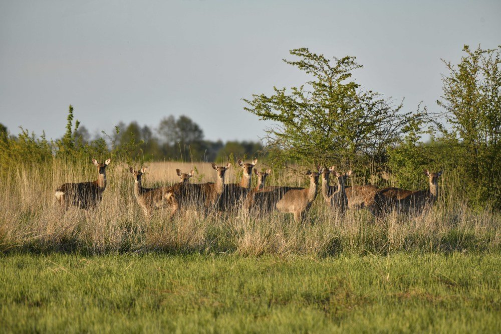 Фотография автора Евгений Глембоцкий