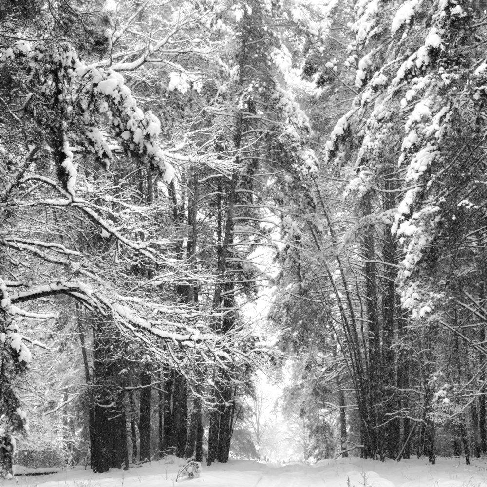 Photograph by Елена Акулова